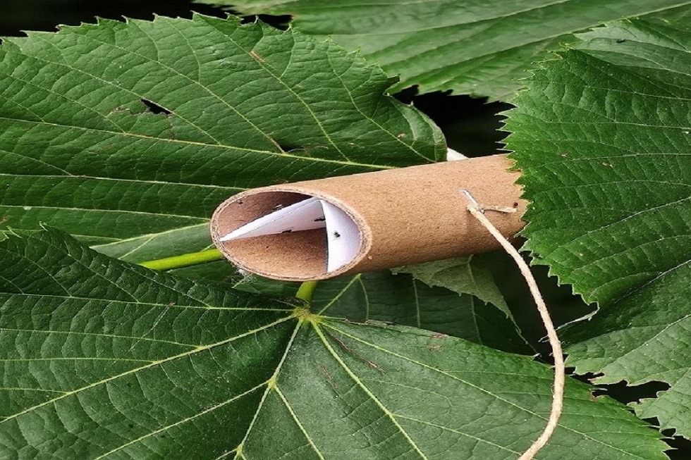 La Lombardia chiede al governo di sbloccare fondo ristorazione da 600 milioni